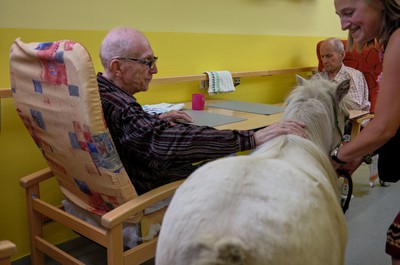 Pampi na Vážkách - září