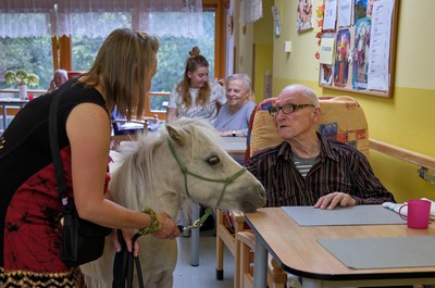 Pampi na Vážkách - září