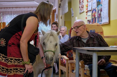 Pampi na Vážkách - září