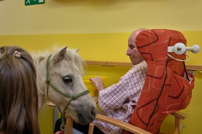 Pampi na Vážkách - září