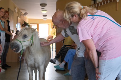 Pampi na Vážkách - září