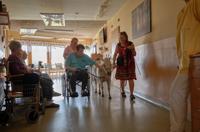 Pampi na Vážkách - září