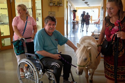 Pampi na Vážkách - září