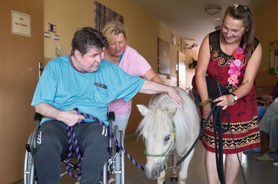 Pampi na Vážkách - září