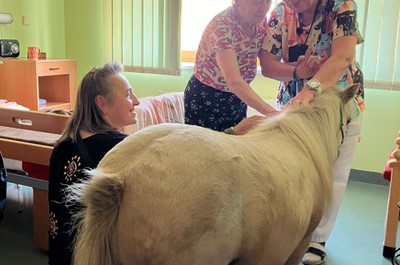 Pampi na Vážkách - září