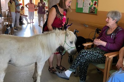 Pampi na Vážkách - září