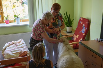 Pampi na Vážkách - září