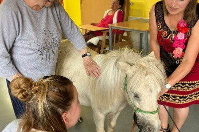 Pampi na Vážkách - září