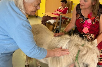 Pampi na Vážkách - září