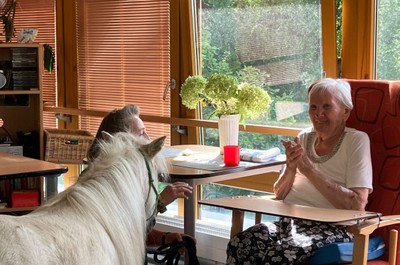 Pampi na Vážkách - září