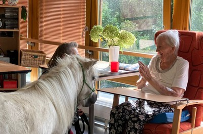 Pampi na Vážkách - září