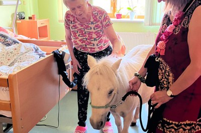 Pampi na Vážkách - září