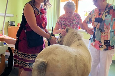 Pampi na Vážkách - září