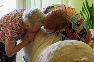 Pampi na Vážkách - září