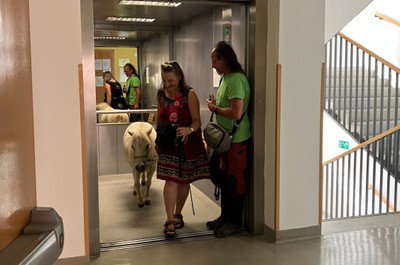 Pampi na Vážkách - září