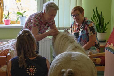 Pampi na Vážkách - září