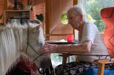 Pampi na Vážkách - září