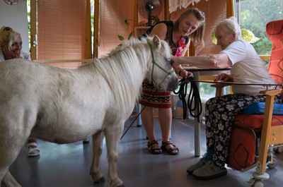 Pampi na Vážkách - září