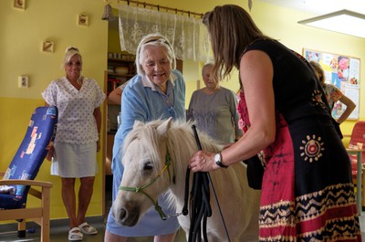 Pampi na Vážkách - září