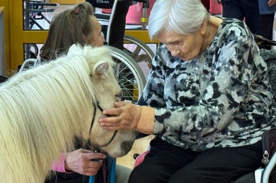 Ponička Pampi