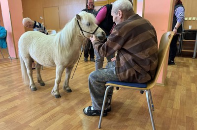 Ponička Pampi