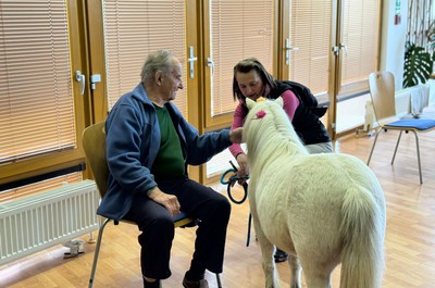 Ponička Pampi