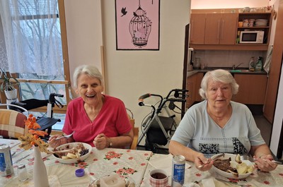 Svatomartinský oběd - pečené husí stehno, knedlík a červené zelí