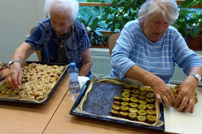 Švestkový koláč - září