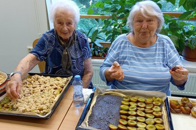 Švestkový koláč - září