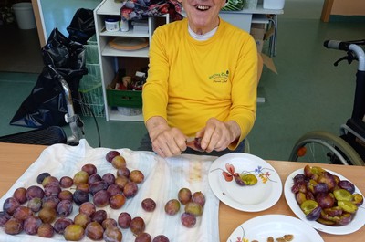 Švestkový koláč - září