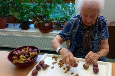 Švestkový koláč - září