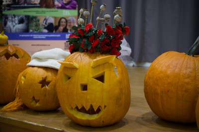 Tradiční Františkovské dýňování