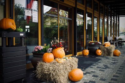 Tradiční Františkovské dýňování