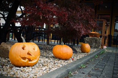 Tradiční Františkovské dýňování