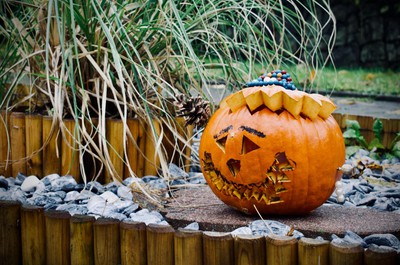 Tradiční Františkovské dýňování