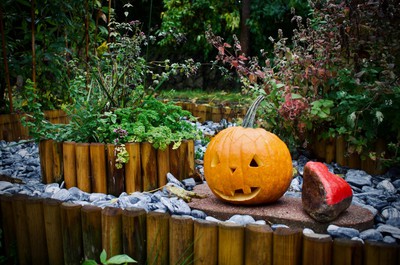 Tradiční Františkovské dýňování