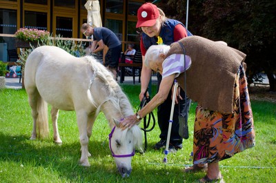 Ponička Pampi