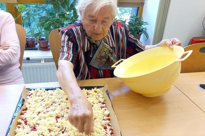 Rybízový koláč